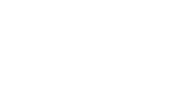 Wes Larsen Media logo white transparent